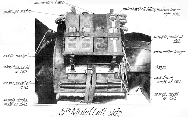 5th Mule (Left Side)