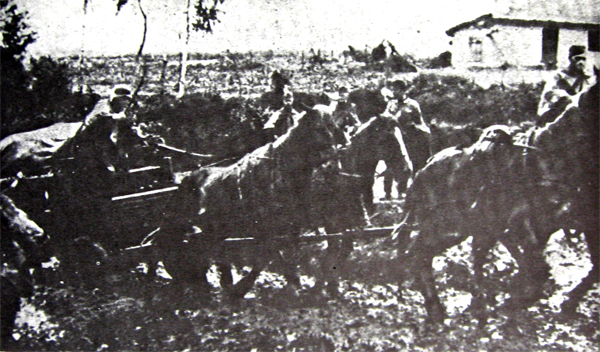 GERMAN HORSE-DRAWN WAGON in summer mud, 1941 