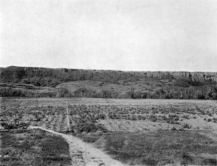 Heights, occupied by the Reserve battallions of Belostock and Brest Regiments