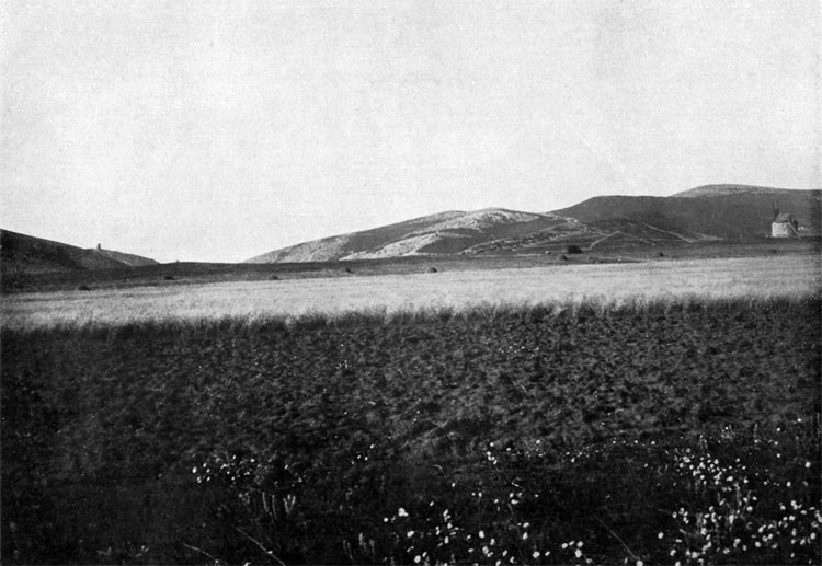 Balaclava Heights and the hill, where British 93th Highlander Regiment had a bivouac