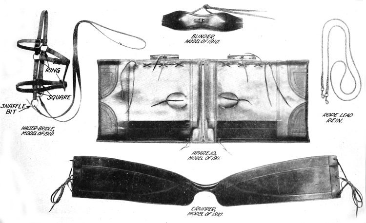 Plate VI. Pack harness. 