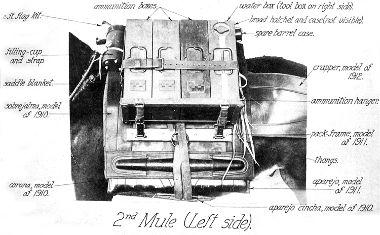 2nd Mule (Left Side) 